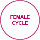 menstruation femalecycle