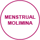 menstruation menstrualmolimina